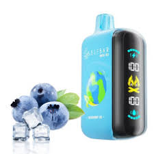 Elfbar Raya D3 25k Puff Disposable System | La Dolce Vape Indian Vape